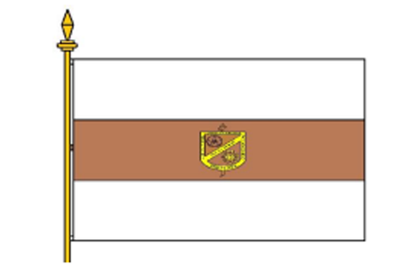 Bandera Institucional
